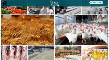 ارتفاع أسعار العدس والبلطي والخيار والحديد والذهب في 19-12-2025